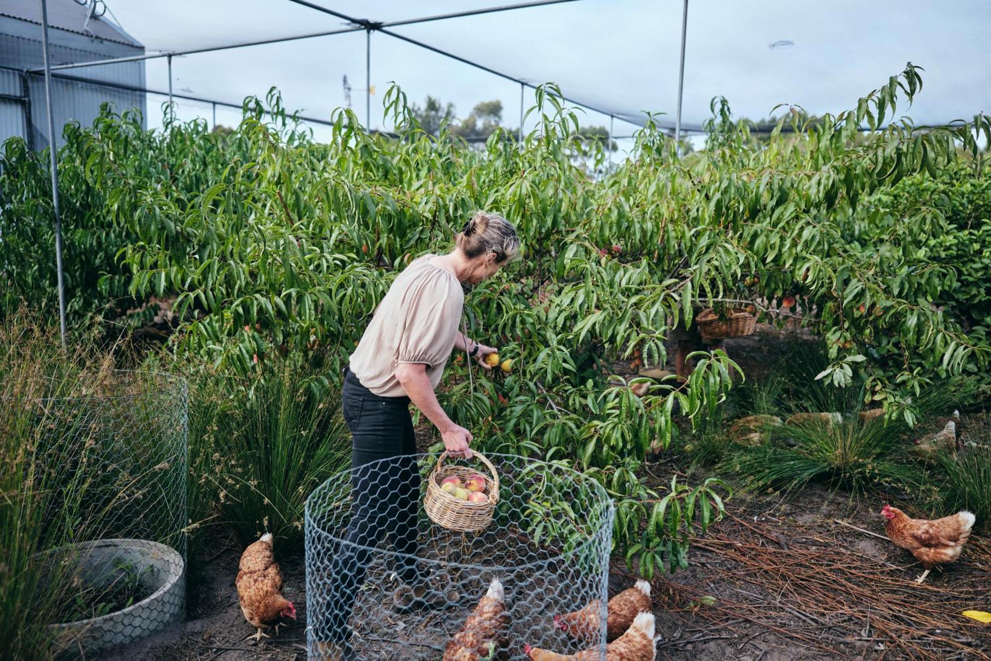 Burnside Organic Farm Villa Margaret River Exterior photo