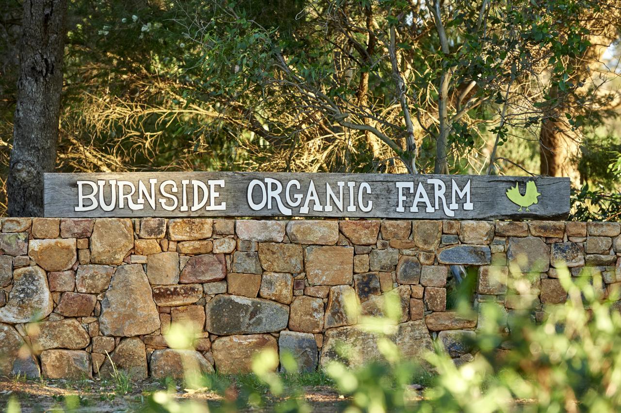Burnside Organic Farm Villa Margaret River Exterior photo